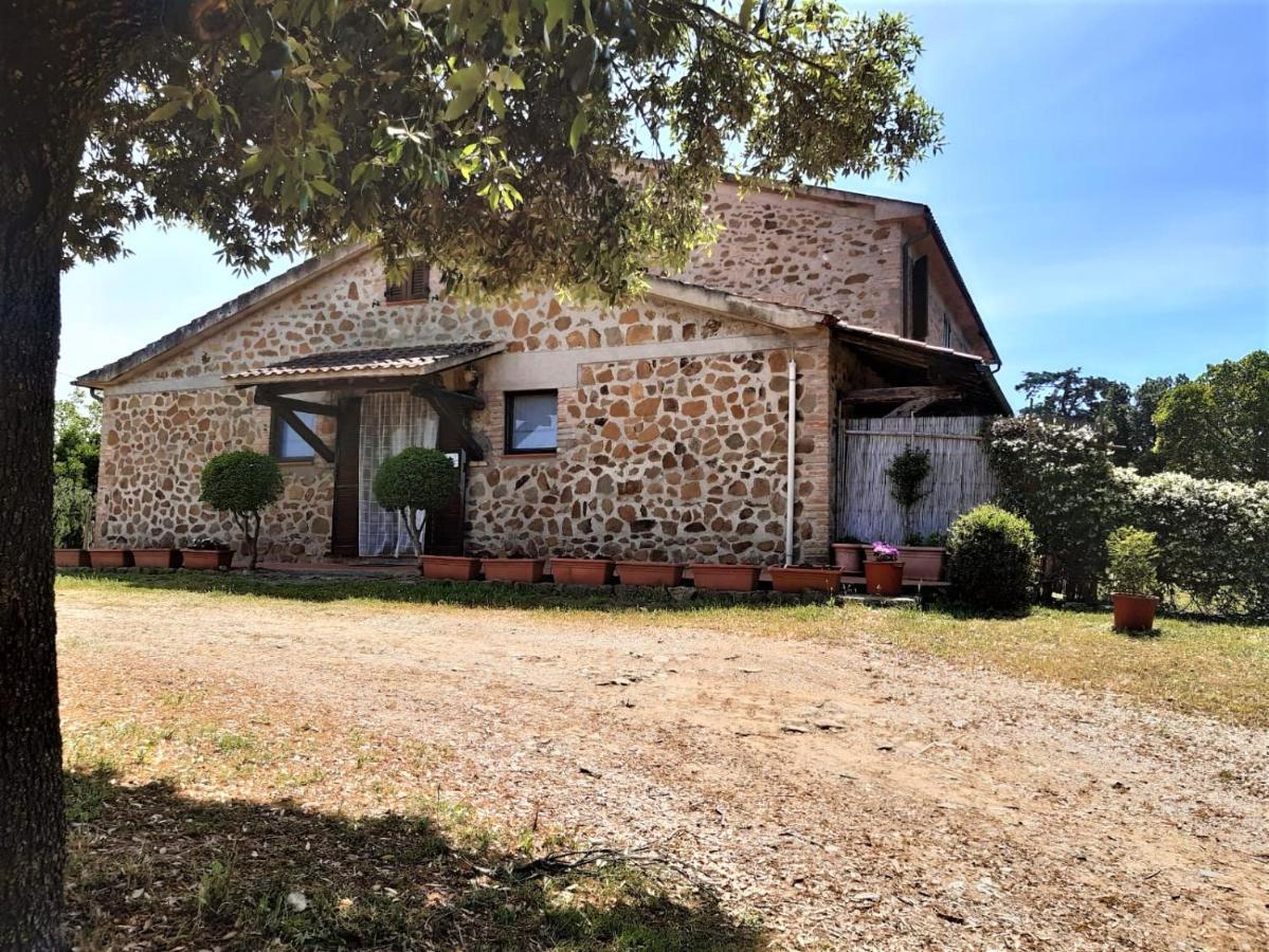 Agriturismo Malpasso Magliano in Toscana Exterior photo